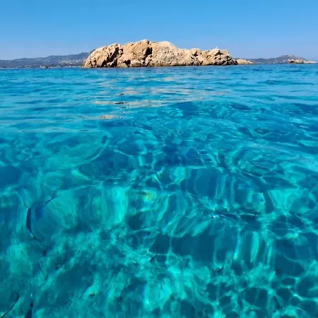 Nest House - Esclusivo Marina Di Olbia- Mater - Beaches - Close To The Airport - Private Parking- Full Comforts - Appartement