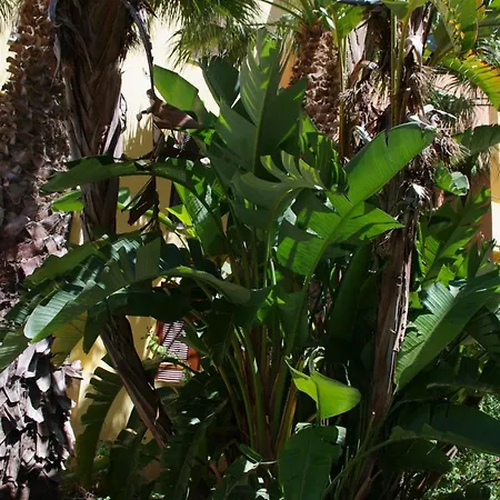 Daire Nest House - Esclusivo Marina Di Olbia- Mater - Beaches - Close To The Airport - Private Parking- Full Comforts -