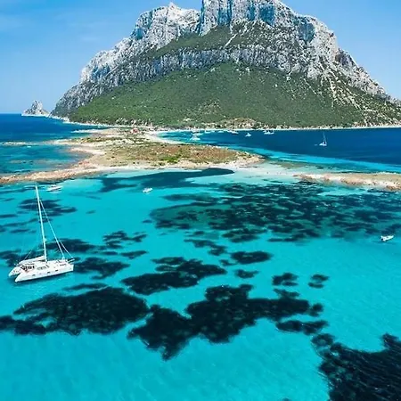 Daire Nest House - Esclusivo Marina Di Olbia- Mater - Beaches - Close To The Airport - Private Parking- Full Comforts - *