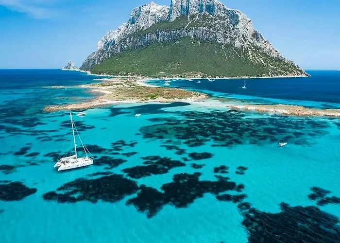 公寓 Nest House - Esclusivo Marina Di Olbia- Mater - Beaches - Close To The Airport - Private Parking- Full Comforts - *